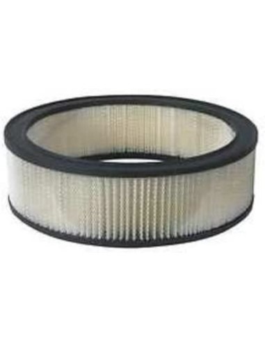 FILTRO AIRE BALDWIN PA602